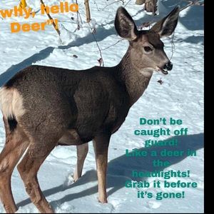 ⭐️On Bundles! Plus 15% off on bundles!